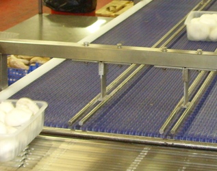 modular plastic belt 3 lane conveyor